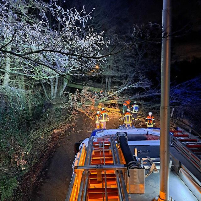 Foto: Feuerwehr Seevetal