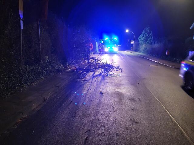 Foto: Feuerwehr Seevetal