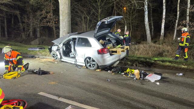 War auf gerader Strecke von der Fahrbahn abgekommen: ein silberfarbener Audi | Foto: Niels Höger/FF Maschen