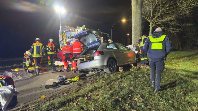Frontal gegen einen Straßenbaum geknallt: Warum der Audi von der Straße abkam, ist noch unklar | Foto: Niels Höger/FF Maschen