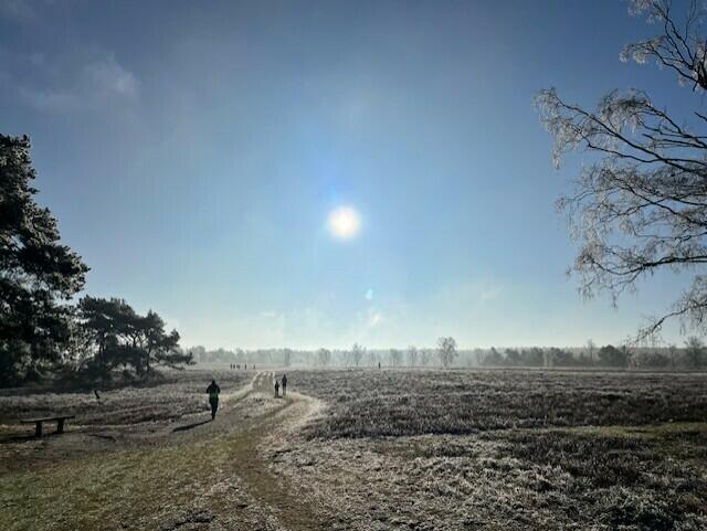 Bei klarer Luft und Sonnenschein liefen die Teilnehmer des Winter-Heidelaufs durch die Heide | Foto: Handtke