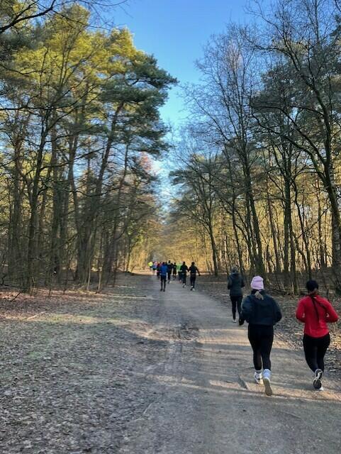 Bei klarer Luft und Sonnenschein liefen die Teilnehmer des Winter-Heidelaufs | Foto: Handtke
