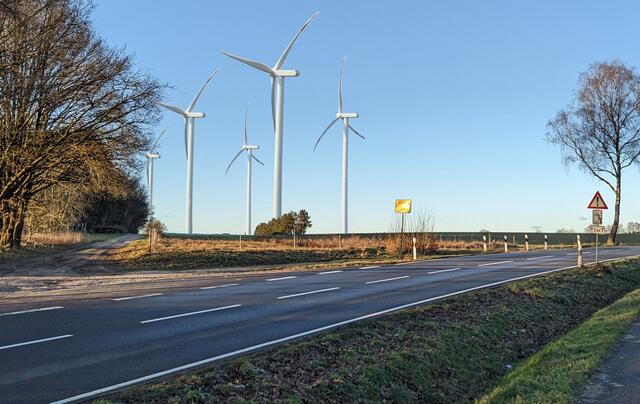 Ortsausfahrt Luellau: Möglicher Blick übers Blumenfeld an der Straße Richtung Reindorf (Fotomontage) | Foto: IG EEV