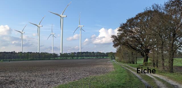 Blick aus Richtung von der großen Eiche mit der Plastikbank zwischen Lüllau und Seppenser Mühle in Richtung Reindorf (Fotomontage) | Foto: IG EEV