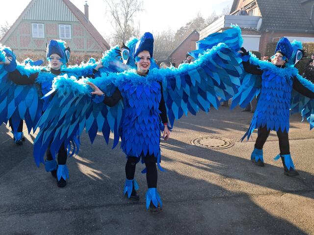 Die blauen Vögel lieferten ihre "Piep-Show" ab | Foto: Anika Werner