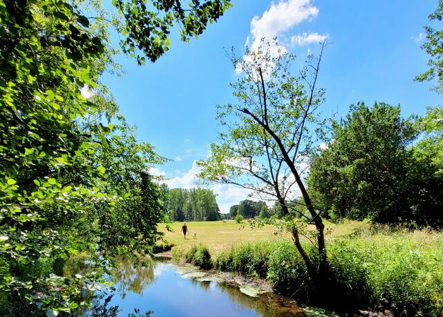 Der Este-Wanderweg | Foto: Hans-Joachim Dammann