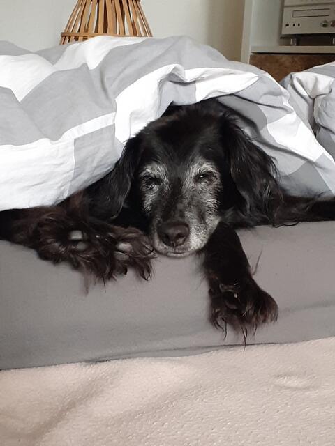 Tassilo bereichert die Welt schon seit fast 19 Jahren. Trotz schwerer Krankheiten hat er sich immer wieder zurück ins Leben gekämpft | Foto: Anja Schmuck