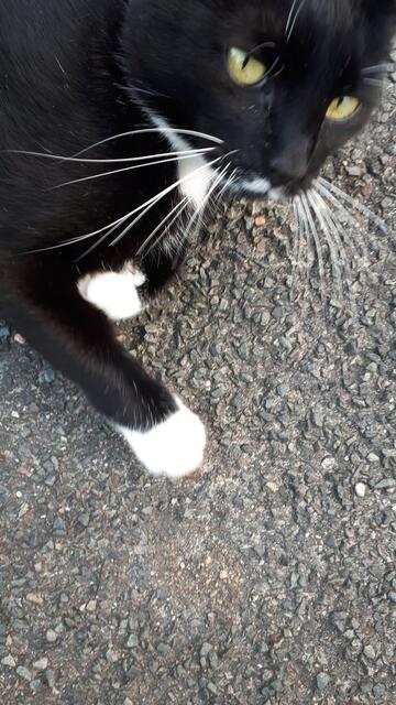 Sie hat den besten Blick | Foto: Lore Priegnitz