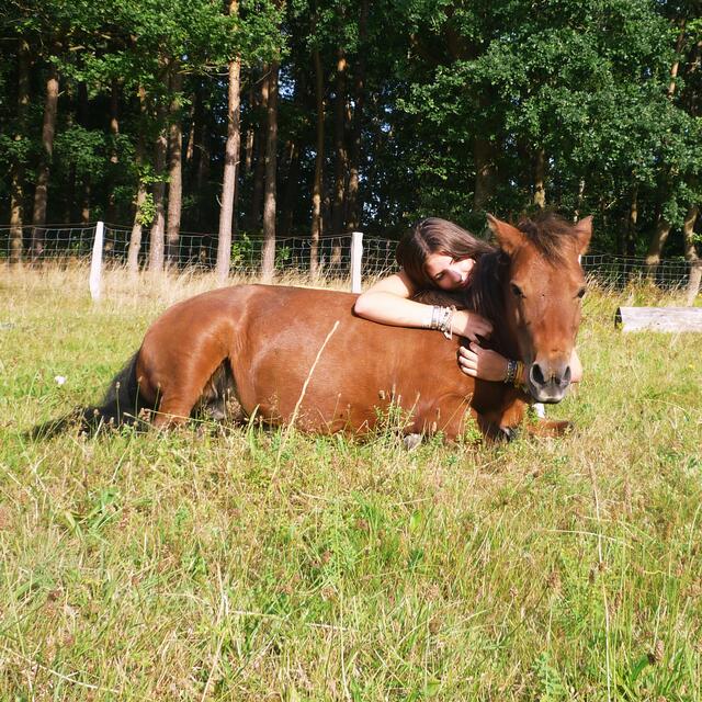 Das kleine Pony Schoko kam mit 9 Jahren zu Nala Trautvetter als das Mädchen gerade mal 6 Jahre alt war. Sie sind zusammen aufgewachsen und auch wenn Nala Trautvetter, nun 17 Jahre alt nicht mehr auf dem für sie inzwischen zu kleinem Pony ausreiten kann, gehen sie immer noch viel zusammen spazieren | Foto: Nala Trautvetter