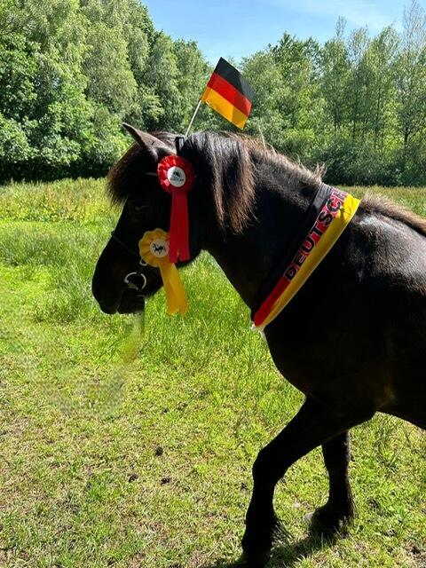 Isländer Otunfaxi ist quasi schon auf den Titelgewinn der deutschen Handball-Nationalmannschaft eingestellt | Foto: Lea Herbig