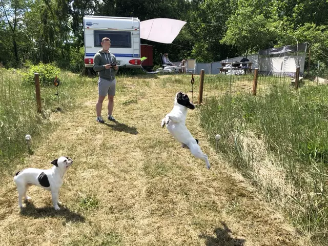 Camping-Idylle auf Lühesand | Foto: Andre Hellwig