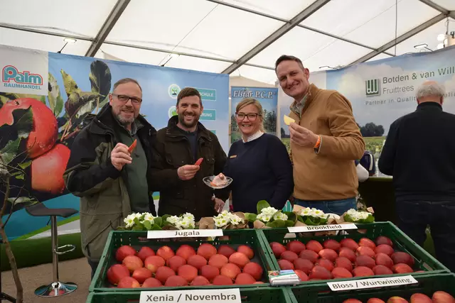Michael (re.) und Wiebke Ropers vom Palm Baumhandel zeigen die neue Apfelsorte Bloss, vorher Wurtwinning, Henning (li.) und Christoph von Riegen, die diese neue Sorte anpflanzen wollen