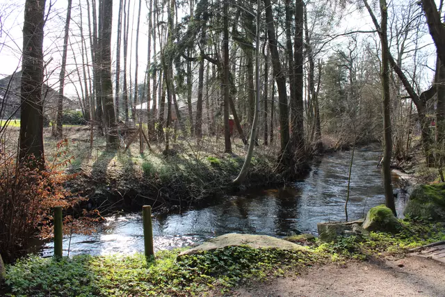 Auch im Frühjahr einen Spaziergang wert: der Wanderweg entlang der Seeve durch Jesteburg | Foto: pöp