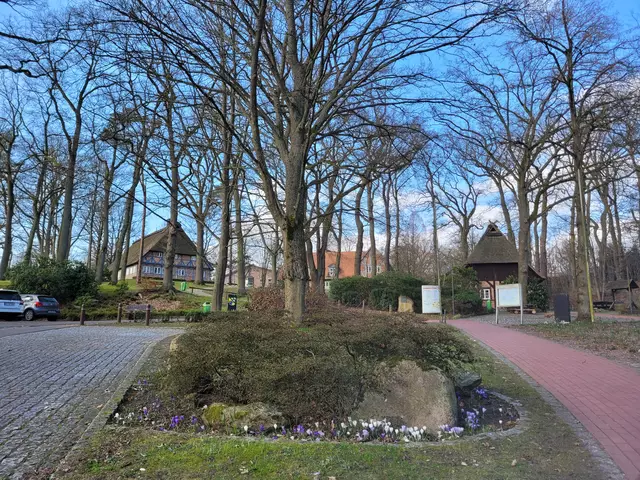 Um den baumbestandenen Niedersachsenplatz gruppieren sich Heimathaus, Neues Rathaus, Zehntscheune und Altes Rathaus | Foto: pöp