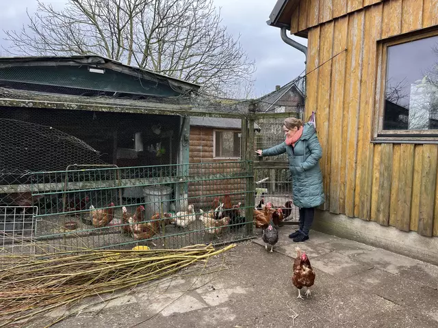 Ausgang für die inzwischen glücklichen Hühner. | Foto: Sandra Polenz