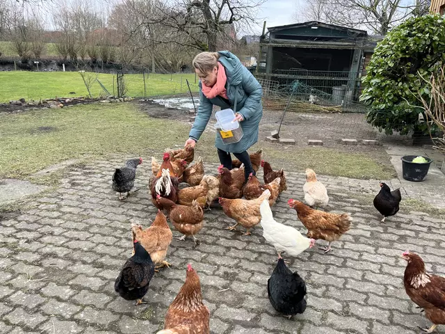 Bei so leckerem Hühnernaschi kommen alle an. | Foto: Sandra Polenz