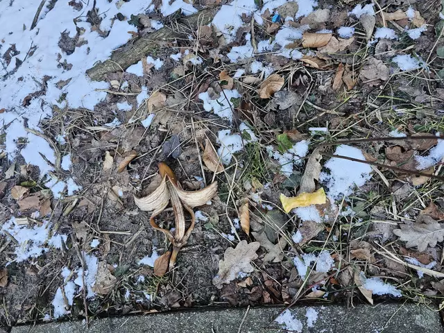 Entsorgte Essensreste am ZOB | Foto: Stadt Buchholz / Eisenhut