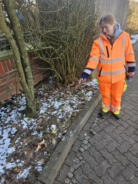 Barbara Rehm zeigt auf Essensreste im Beet am ZOB | Foto: Stadt Buchholz / Eisenhut