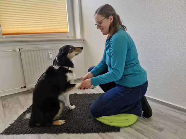 Mit der Zeit kommt das Vertrauen, Border Collie Tütje legt die Pfote gern in die Hände von Janika Nikolaus | Foto: Simone Pettelkau