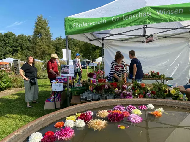 Das Dahlienfest im Herbst zeigt eine bunten Blüten-Vielfalt | Foto: Ragna Raabe