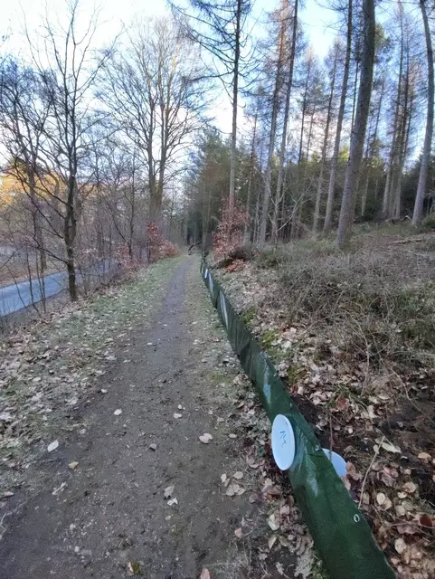 Bei Egestorf an der Straße nach Sudermühlen errichtete die NABU-Ortsgruppe einen 180 Meter langen Schutzzaun für Amphibien | Foto: NABU Hanstedt