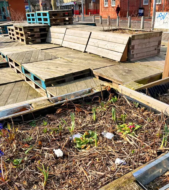 Eine Pflanzkiste vor der "berühmten" Palettenlounge des Ankerplatzes. Wachsen hier zarte Pflänzchen der Hoffnung, dass es mit dem Projekt doch noch weitergeht? Im Moment sind diese aus der Erde kommenden Krokusse das einzige, was auf dem Platz gedeiht | Foto: Malte Neumann