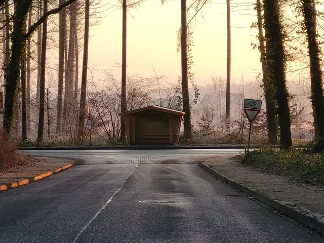 Die Bushaltestelle Gorch-Fock-Straße liegt direkt an der vielbefahrenen Hamburger Straße | Foto: sh