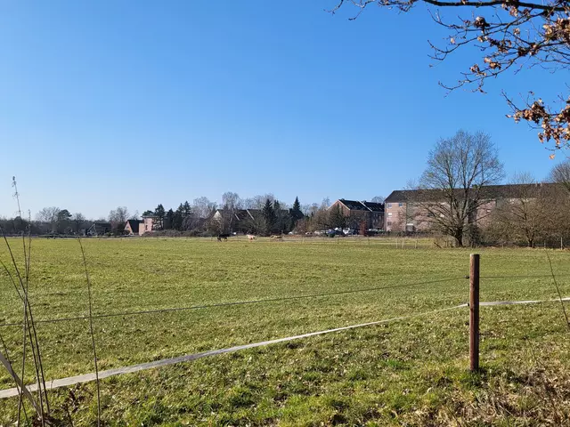 Das neue Baugebiet mit dem Blick auf die Hermann-Burgdorf-Straße. Hier sollen 100 Wohneinheiten entstehen | Foto: sh