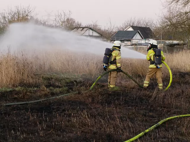 In Bützfleth stand Schilf in Flammen | Foto: Feuerwehr