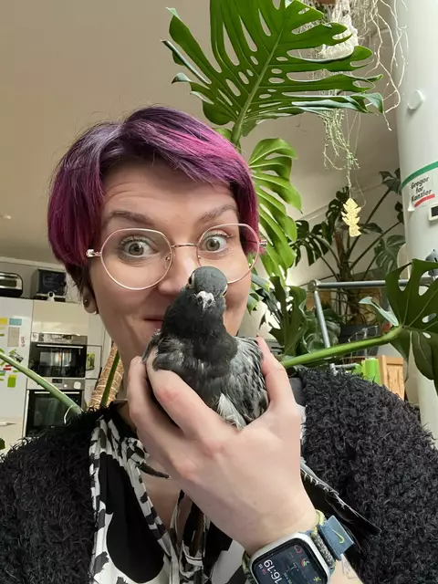 Foto: Stadttauben Buchholz e.V.