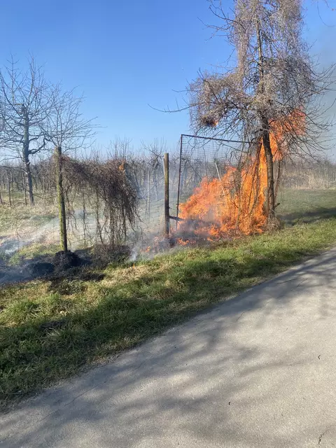 Am Mühlenweg in Steinkirchen war eine Hecke in Brand gesetzt worden | Foto: SG Lühe