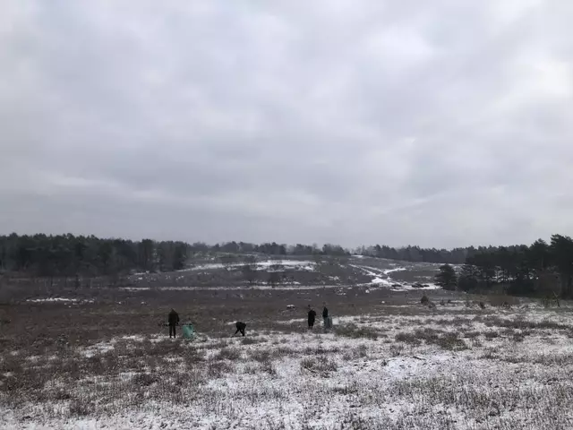 Tatkräftig für die Natur waren die Helferinnen und Helfer in der Wulmstorfer Heide im Einsatz | Foto: Landkreis Harburg /