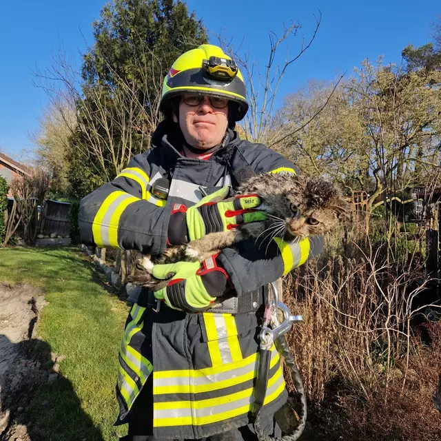 Erfolgreiche Rettung in Schwinge: Die Mieze wurde sicher vom Baum geholt | Foto: FFW Samtgemeinde Fredenbeck