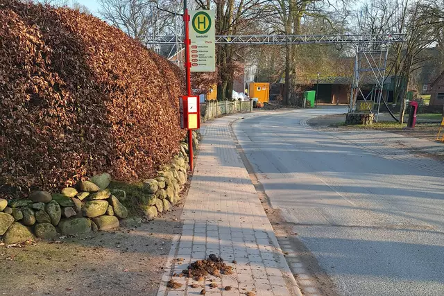 Mitten auf dem Weg zur Bushaltestelle "Itzenbüttel": ein ordentlicher Haufen Pferdeäpfel | Foto: Christian Dibbern