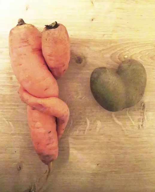 2024 wurde in Niedersachsen mehr Gemüse geerntet  | Foto: Axel-holger Haase