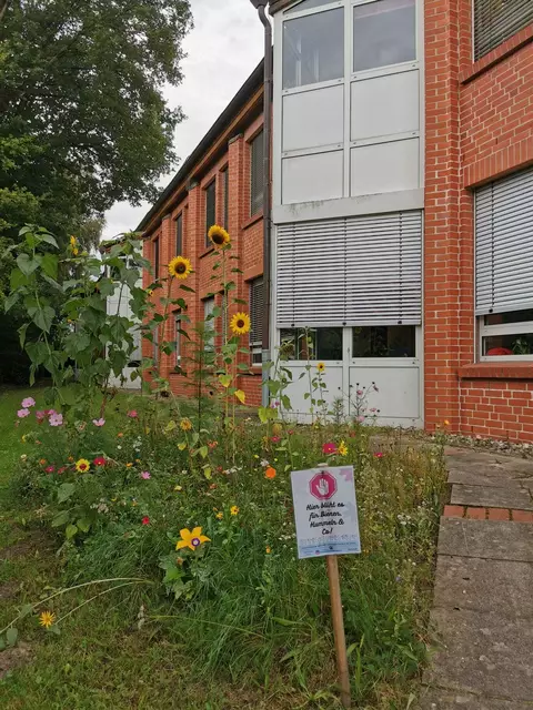 Diese Blühfläche wurde 2023 von der Grundschule Hittfeld angelegt | Foto: Landvolk Niedersachsen, Kreisverband Lüneburger Heide e. V.
