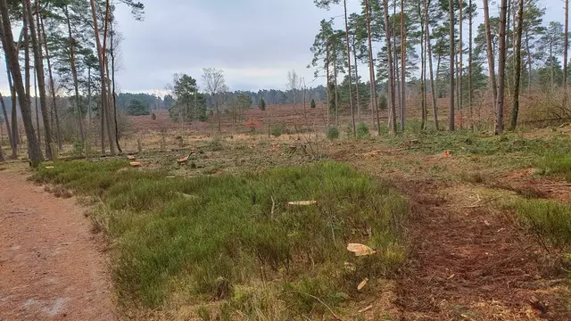 Foto: Sandra Malissa