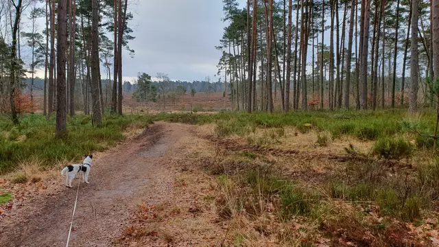 Foto: Sandra Malissa