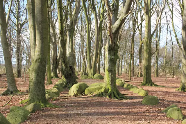 Früherer Zustand der Großsteingräber | Foto: Landkreis Stade