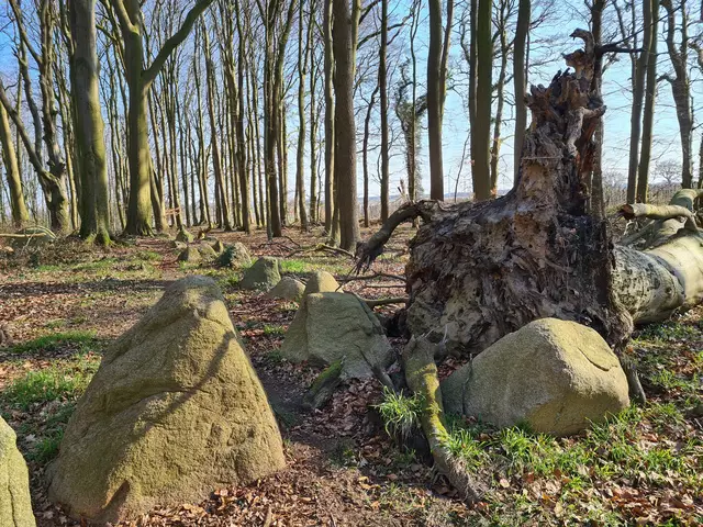 Jetziger Zustand des Geländes | Foto: Landkreis Stade