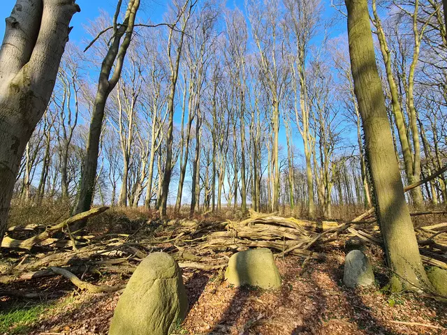Jetziger Zustand des Geländes | Foto: Landkreis Stade