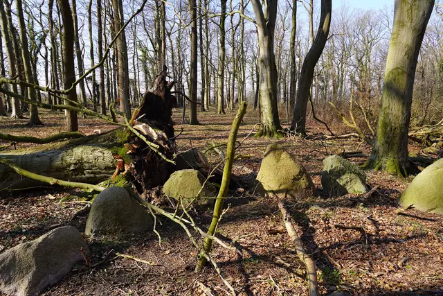 Jetziger Zustand des Geländes | Foto: Landkreis Stade