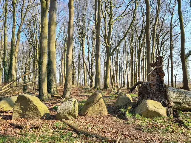 Jetziger Zustand des Geländes | Foto: Landkreis Stade