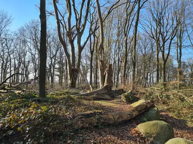 Jetziger Zustand des Geländes | Foto: Landkreis Stade