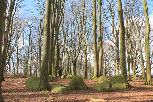 Früherer Zustand der Großsteingräber | Foto: Landkreis Stade
