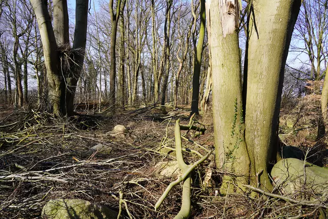 Jetziger Zustand des Geländes | Foto: Landkreis Stade