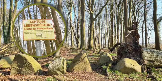 Das Wäldchen mit den Großsteingräbern darf derzeit nicht betreten werden. Es besteht Lebensgefahr | Foto: Landkreis Stade