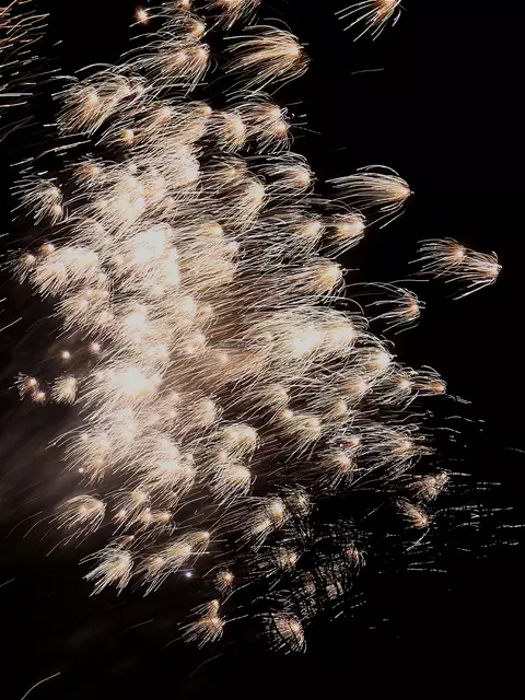 Feuerwerk | Foto: Carola Meyer-Fricke