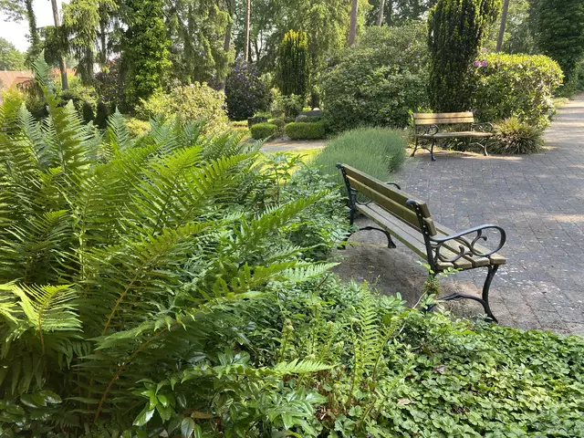 Sitzgelegenheiten auf dem Friedhof Maschen  | Foto: Gemeinde Seevetal