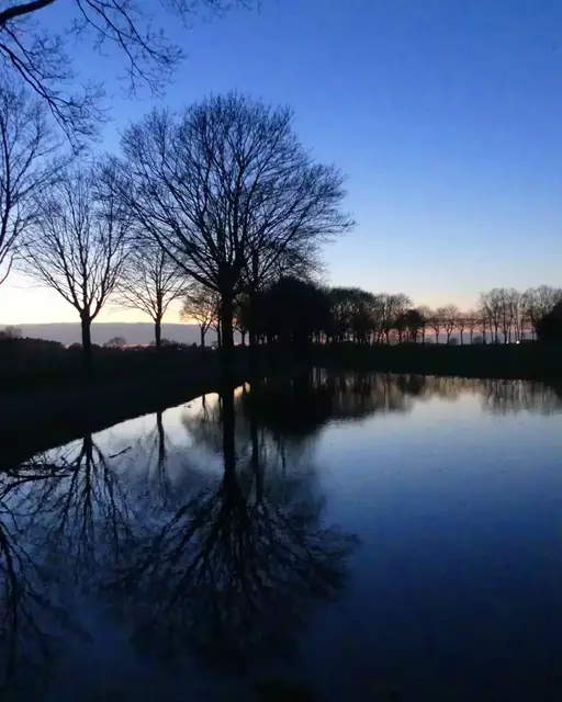 Eine Riesenpfütze in Nindorf | Foto: Carola Meyer-Fricke